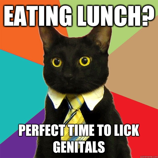 Eating lunch? Perfect time to lick genitals  Business Cat