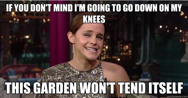 if you don't mind I'm going to go down on my knees this garden won't tend itself  Emma Watson Troll