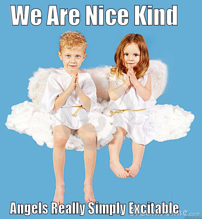 WE ARE NICE KIND   ANGELS REALLY SIMPLY EXCITABLE     Misc