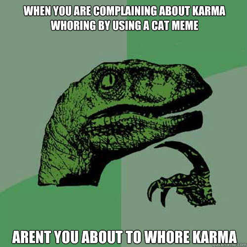 When you are complaining about karma whoring by using a cat meme  arent you about to whore karma - When you are complaining about karma whoring by using a cat meme  arent you about to whore karma  Philosoraptor