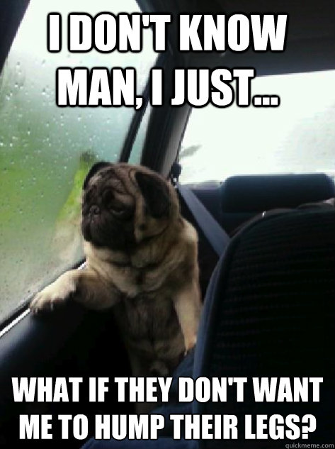 I don't know man, I just... what if they don't want me to hump their legs? - I don't know man, I just... what if they don't want me to hump their legs?  Introspective Pug