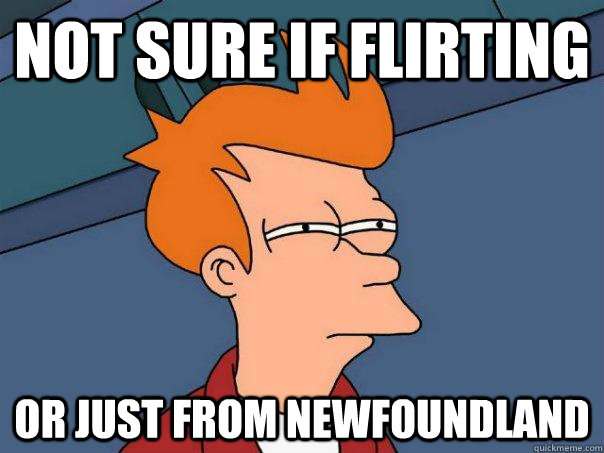 Not Sure If Flirting Or Just From Newfoundland Futurama Fry Quickmeme