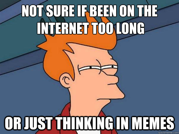 not sure if been on the
 internet too long or just thinking in memes  Futurama Fry