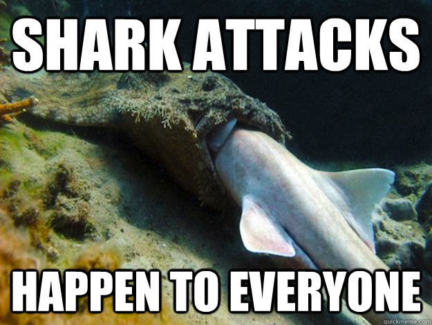 SHARK ATTACKS Happen to everyone - SHARK ATTACKS Happen to everyone  Sharkattack