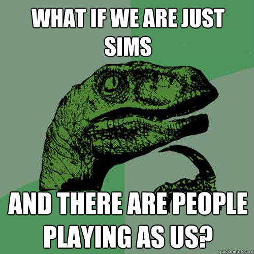 What if we are just sims And there are people playing as us?  Philosoraptor