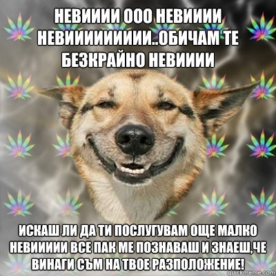 Невииии ооо невииии невиииииииии..обичам 
  Stoner Dog