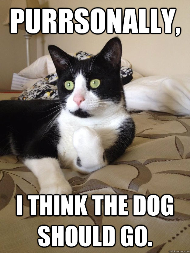 Purrsonally, I think the dog should go. - Purrsonally, I think the dog should go.  Misc