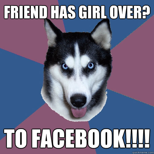 Friend has girl over? To FACEBOOK!!!!  Creeper Canine