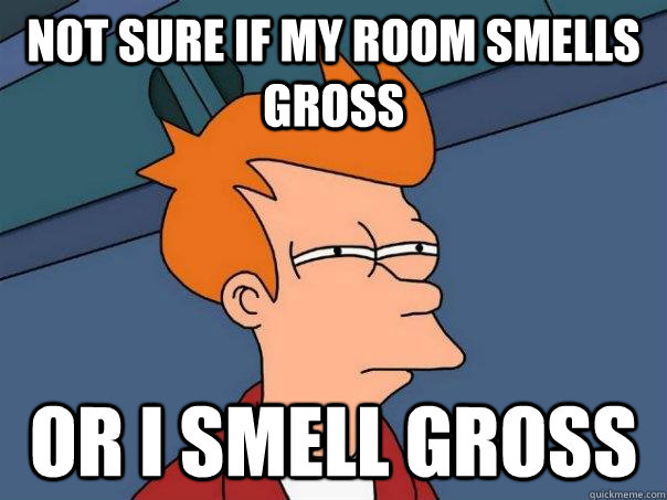 Not sure if my room smells gross Or I smell gross - Not sure if my room smells gross Or I smell gross  Futurama Fry