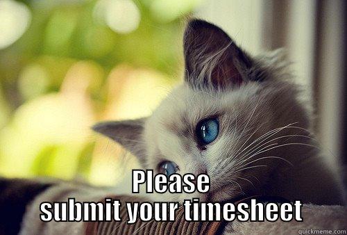  PLEASE SUBMIT YOUR TIMESHEET First World Problems Cat