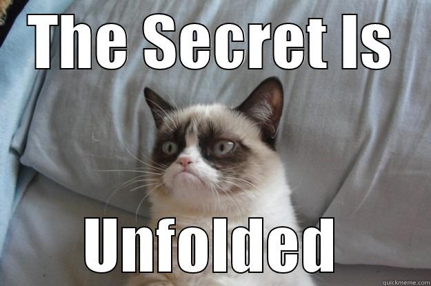 THE SECRET IS UNFOLDED Grumpy Cat