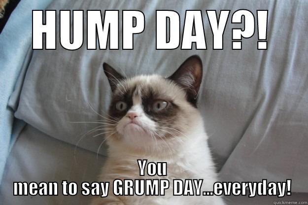 HUMP DAY?! YOU MEAN TO SAY GRUMP DAY...EVERYDAY! Grumpy Cat