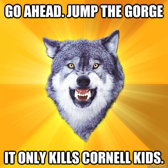 Go Ahead. Jump the Gorge  It only kills Cornell kids.   Courage Wolf