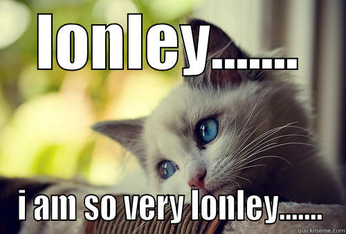 lonley cat - LONLEY....... I AM SO VERY LONLEY....... First World Problems Cat