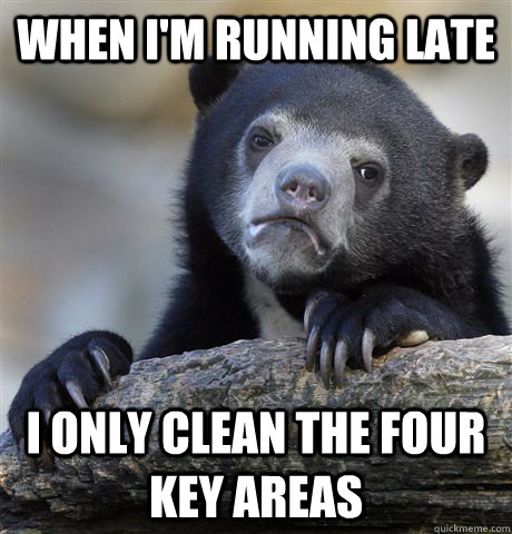 when i'm running late I only clean the four key areas  Confession Bear