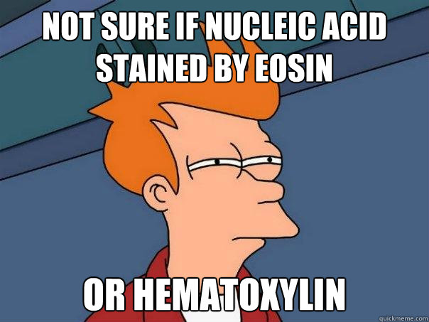 Not sure if nucleic acid stained by eosin Or hematoxylin  Futurama Fry