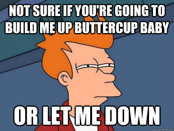 Not sure if you're going to build me up buttercup baby Or let me down  Futurama Fry