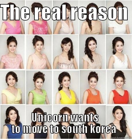 THE REAL REASON  UNICORN WANTS TO MOVE TO SOUTH KOREA  Misc