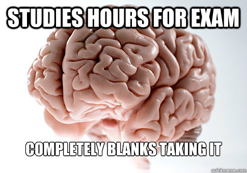 STUDIES HOURS FOR EXAM COMPLETELY BLANKS TAKING IT  Scumbag Brain