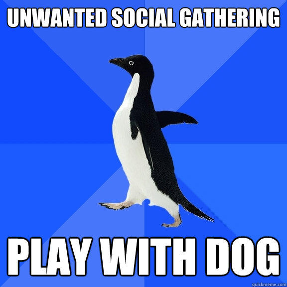 Unwanted Social gathering Play with dog  