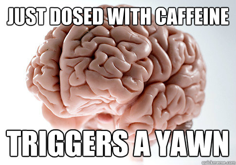 Just dosed with caffeine Triggers a yawn  Scumbag Brain