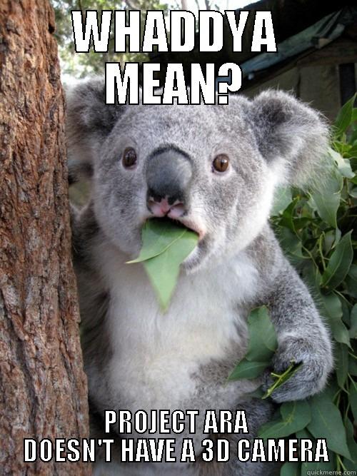 WHADDYA MEAN? PROJECT ARA DOESN'T HAVE A 3D CAMERA koala bear