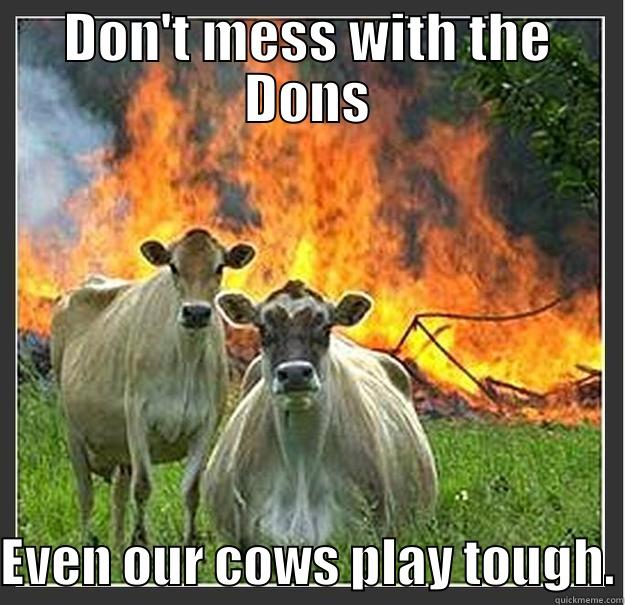 Our football field - DON'T MESS WITH THE DONS EVEN OUR COWS PLAY TOUGH. Evil cows