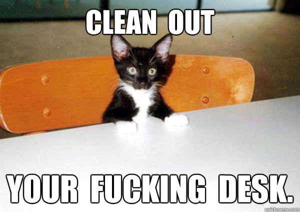 CLEAN  OUT YOUR  FUCKING  DESK. - CLEAN  OUT YOUR  FUCKING  DESK.  Executive Cat