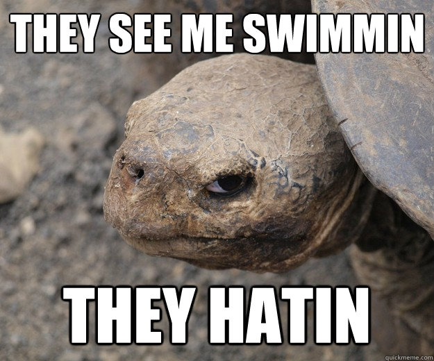 They see me swimmin they hatin - They see me swimmin they hatin  Evil Eye Turtle