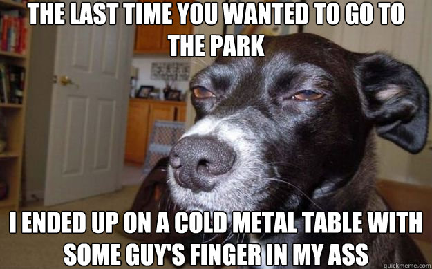 the last time you wanted to go to the park i ended up on a cold metal table with some guy's finger in my ass  Skeptical Mutt