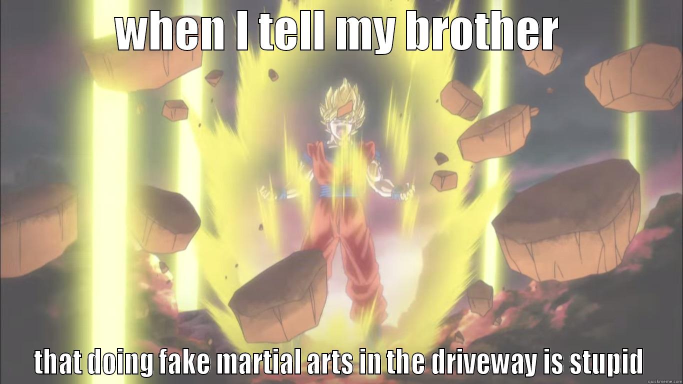 WHEN I TELL MY BROTHER THAT DOING FAKE MARTIAL ARTS IN THE DRIVEWAY IS STUPID Misc