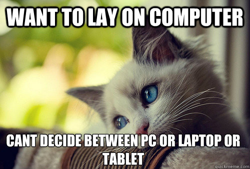 want to lay on computer cant decide between PC or laptop or tablet  First World Problems Cat