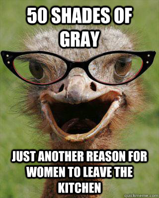 50 shades of gray just another reason for women to leave the kitchen  Judgmental Bookseller Ostrich