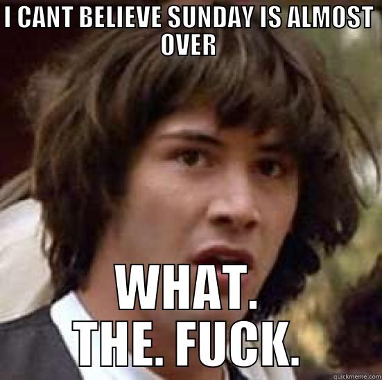 I CANT BELIEVE SUNDAY IS ALMOST OVER WHAT. THE. FUCK. conspiracy keanu