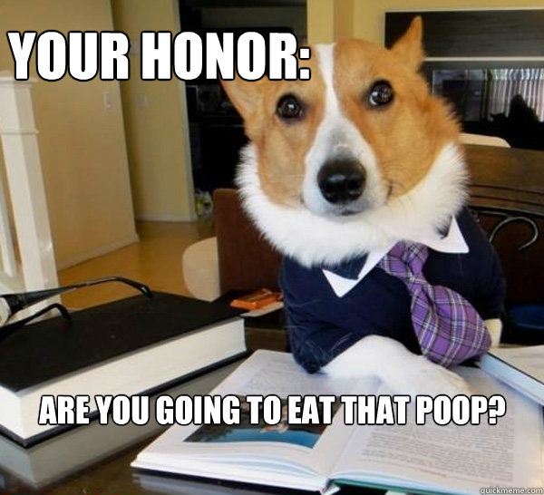 Your honor: Are you going to eat that poop?  Lawyer Dog