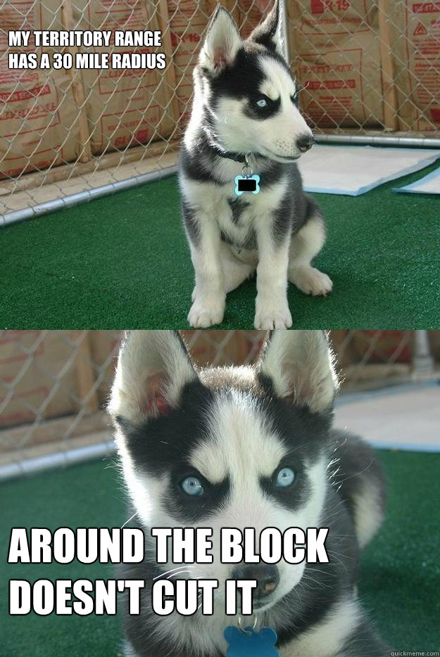 
my territory range
has a 30 mile radius around the block
doesn't cut it - 
my territory range
has a 30 mile radius around the block
doesn't cut it  Insanity puppy