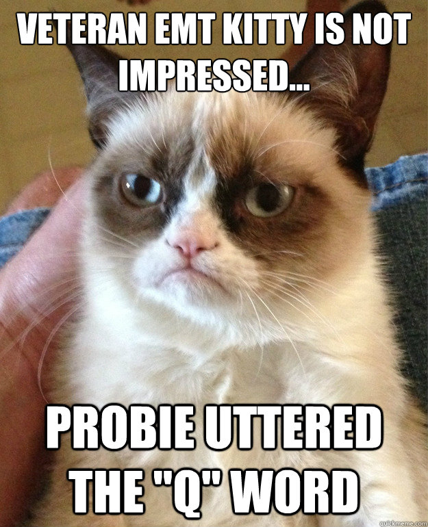 Veteran EMT kitty is not impressed... Probie uttered the 