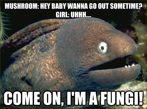 Mushroom: Hey baby wanna go out sometime?
Girl: Uhhh.... Come on, I'm a Fungi!  Bad Joke Eel