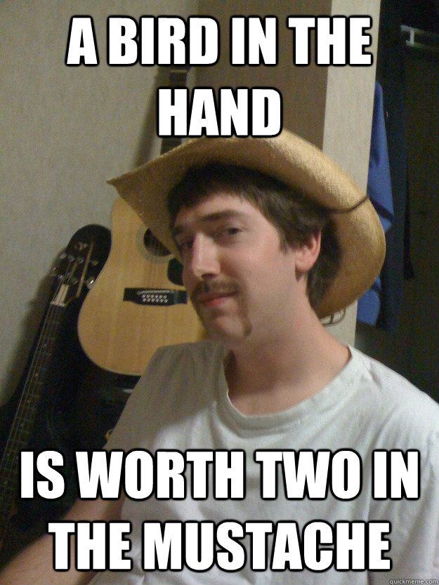 A Bird in the hand is worth two in the mustache - A Bird in the hand is worth two in the mustache  Cliche Kyle