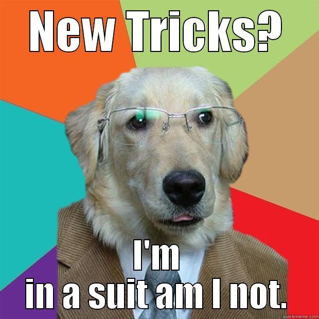 NEW TRICKS? I'M IN A SUIT AM I NOT. Business Dog