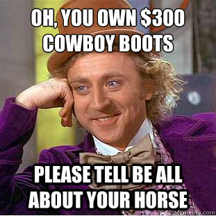 Oh, you own $300 COWBOY boots
 Please tell be all about your horse  Condescending Wonka