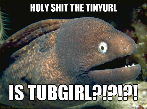 HOLY SHIT THE TINYURL IS TUBGIRL?!?!?!  Bad Joke Eel