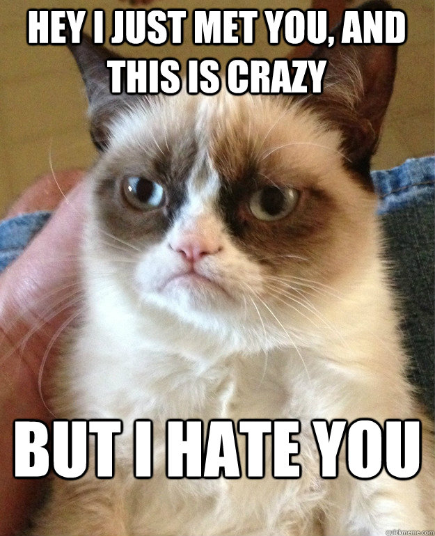 Hey I just met you, And this is crazy But I hate you   Grumpy Cat