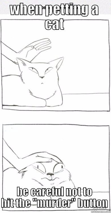 WHEN PETTING A CAT BE CAREFUL NOT TO HIT THE 