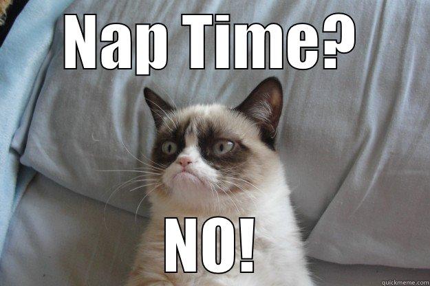 NAP TIME? NO! Grumpy Cat