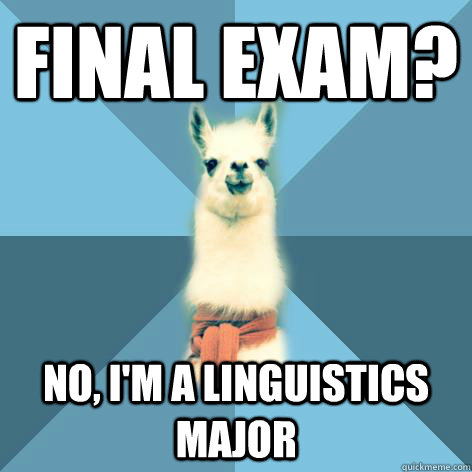 Final Exam? No, I'm a linguistics major  Linguist Llama