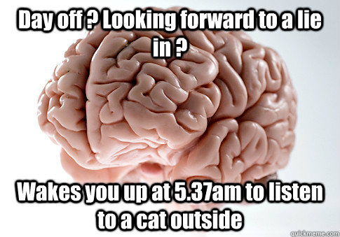 Day off ? Looking forward to a lie in ? Wakes you up at 5.37am to listen to a cat outside  Scumbag Brain