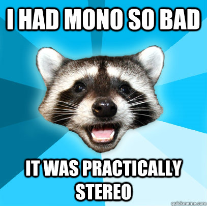 I had Mono so bad It was practically Stereo  Lame Pun Coon