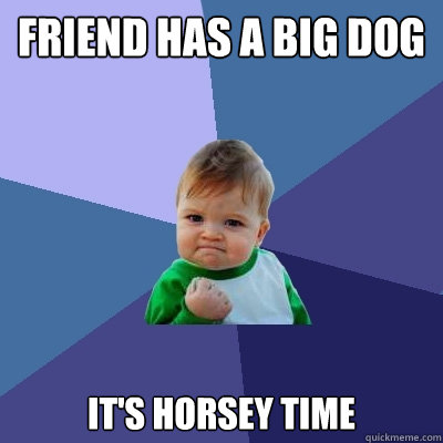 friend has a big dog it's horsey time  Success Kid