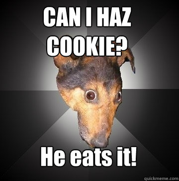 CAN I HAZ COOKIE? He eats it!  Depression Dog